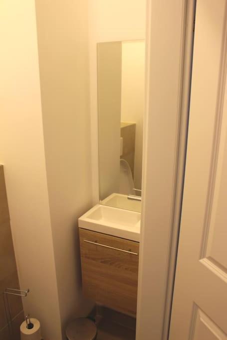 Paraderma Apartment Im Zentrum Baden Bei Wien Екстериор снимка